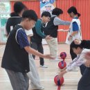 서울대진초등학교 이미지