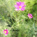 장동쉬엄쉬엄 이미지