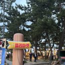 경포비치 | [강릉가볼만한곳] 경포해변 맥주축제 비치비어페스티벌 후기