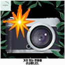 뉴욕쟁이디저트인 덕원점 | 화정1동 애견카페 피터펫츠 가격 및 후기 추천 리뷰 주차 예약 알아볼까요
