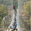 출렁다리(3) 이미지