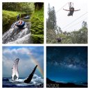 (주)용암온천 관광호텔 이미지