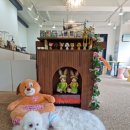 업독라이프 이미지