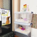 빛고을 동물의료센터 이미지