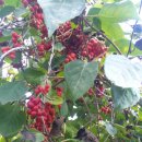 판산골농장 이미지