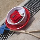 신의초등학교 이미지