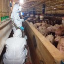 태성축산 이미지