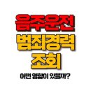 음주운전 범죄경력조회 기록, 실효기간 후에도 남을까? 이미지