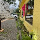 심학산도토리 국수 이미지