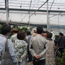 김태준농장 이미지