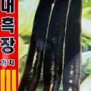 동원종묘농약사 이미지