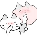 뷰티몽냥 이미지