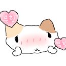 더슈퍼맨