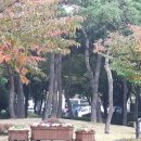 공원옷수선
