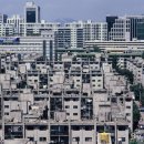 강남-141 이미지