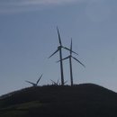 돈키호테 발전소 이미지