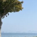 오동도 광장 | [여수] 낭만의 도시 여수 가볼만한 곳은 다 관광한 후기 (오동도/이순신광장)