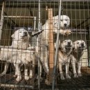 종식농장 이미지