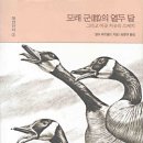 모래 군(郡)의 열두 달(알도 레오폴드) 이미지