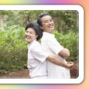 법원체육공원 축구장 이미지