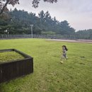 MG새마을금고 옆 이미지