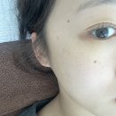 샵레오네