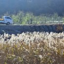 병암농장 이미지