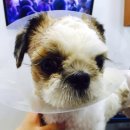 새롬메디칼 이미지