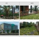 행복나무민박 이미지