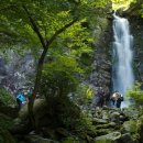 3차동부마트 이미지