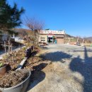 한우리매운탕 | 수목원 율곡캠핑장 율곡습지공원 근처 메기 잡어 토종닭 옻닭 엄닭 한우리 매운탕 2번째 방문후기 내돈내산