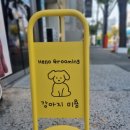 퍼피엔젤 반려동물 미용실 이미지