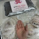임가네해물촌 대왕 쭈꾸미 내돈내산 후기 쭈꾸미볶음 레시피
