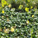 가림산둘레길 이미지