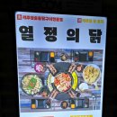 열정의 닭 이미지