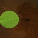 하나 둘 셋 넷 이미지