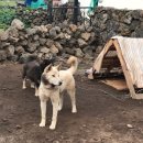 영아민박 이미지