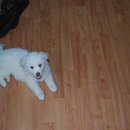 온달마루 이미지