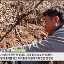 자연산건강원 - 목포시 산정로186번길 3 | 자연산건강원