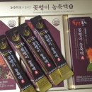장수꽃굼벵이 네이버블로그