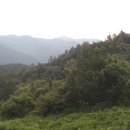 광양용강초등학교 이미지