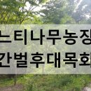 안평농장 이미지