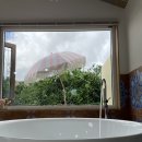 호텔 코코 이미지