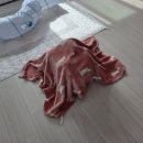 위브동물의료센터 이미지