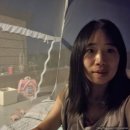 [구매]일상 / 우리집 테라스 옥상 카페로 꾸미기