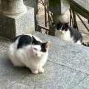 하초동 | 3대 모녀의 겨울 부산여행 후기 [하초동, 문경새재, 봉수삼춘, 코오롱씨클라우드호텔, 고래사어묵, 블루...