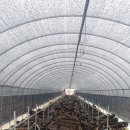 서면농장 이미지