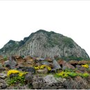 제주 서귀포 산방산 이미지