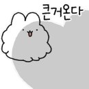 보정황소곱창 이미지