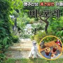 비포레델리 | [행주산성 애견동반 카페] 솦속같은 야외 테이블에서 커피 한 잔의 여유. 비;포레 cafe (feat. 넓은...